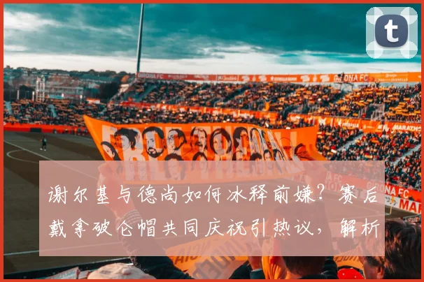 谢尔基与德尚如何冰释前嫌?赛后戴拿破仑帽共同庆祝引热议,解析法国队2026最新动态